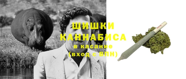 шишки Медвежьегорск