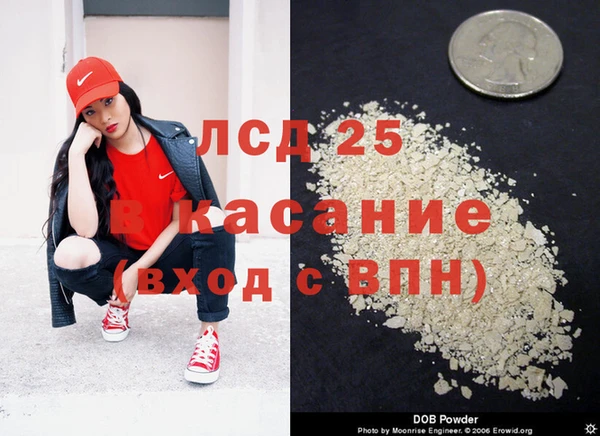 шишки Медвежьегорск
