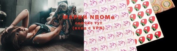 шишки Медвежьегорск