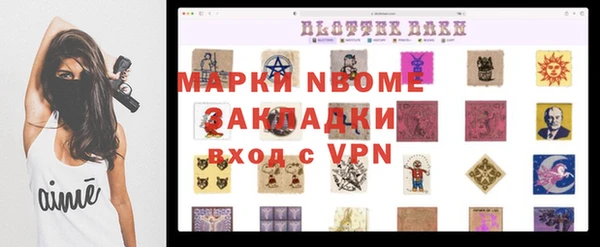 шишки Медвежьегорск