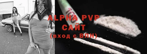 молекула духа Михайлов