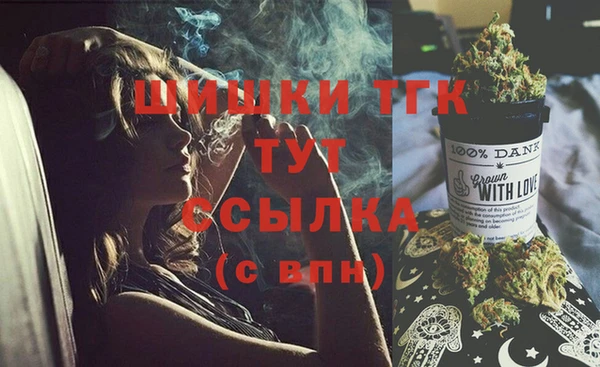 винт Мегион