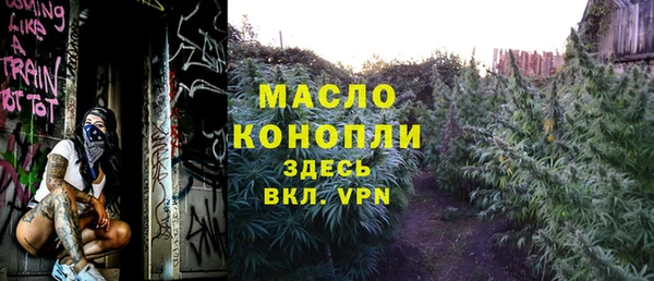 шишки Медвежьегорск