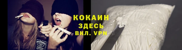молекула духа Михайлов