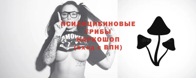 метамфетамин Медногорск