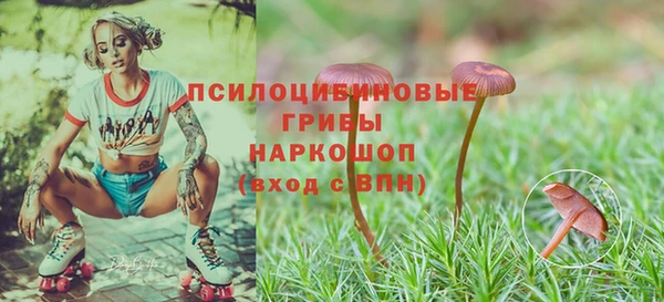 хмурый Михайловка
