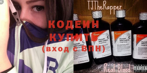 шишки Медвежьегорск