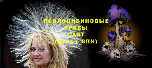 винт Мегион