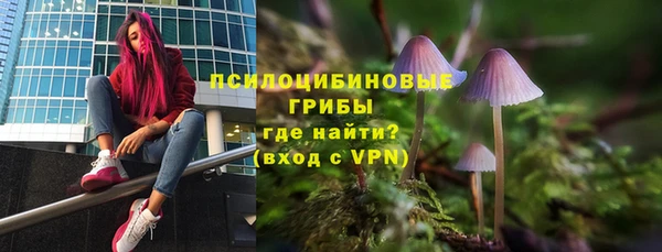 винт Мегион